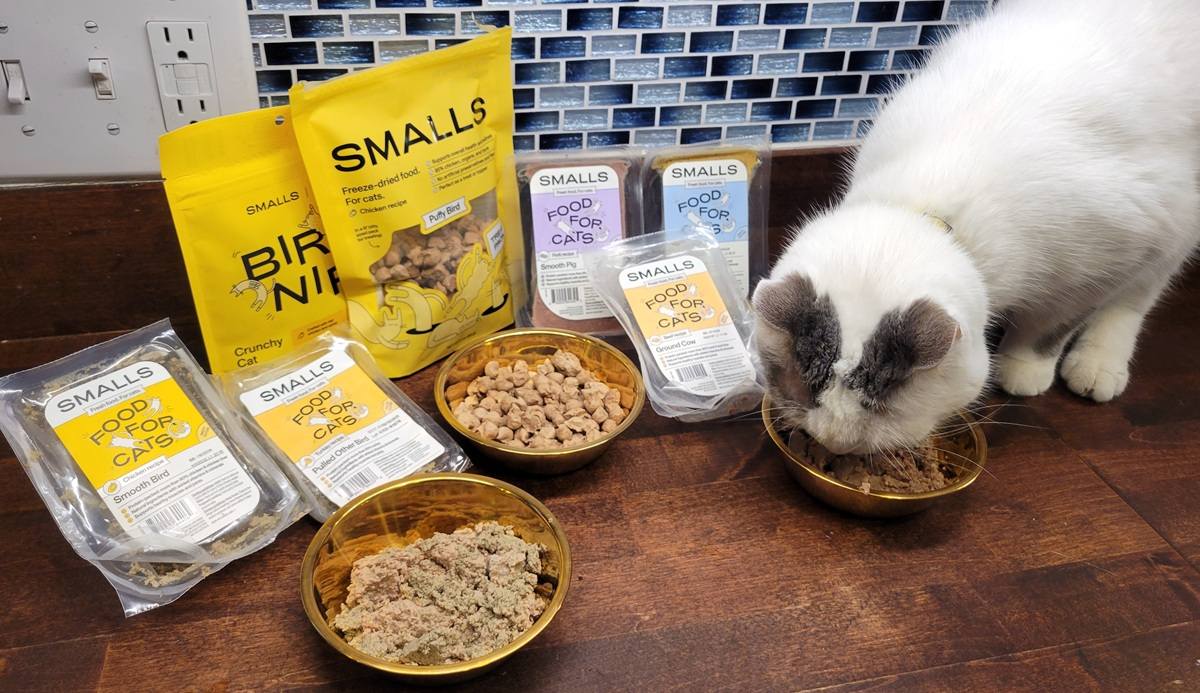 Smalls Fresh Cat Food Review