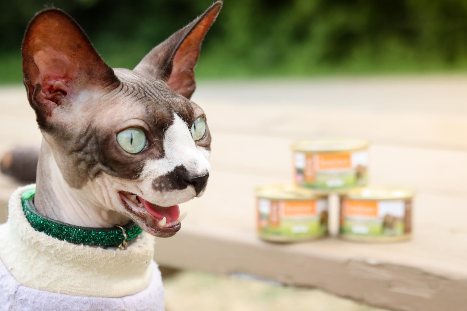 Sphynx Instinct Original Duck Pate Wet Cat Food-2