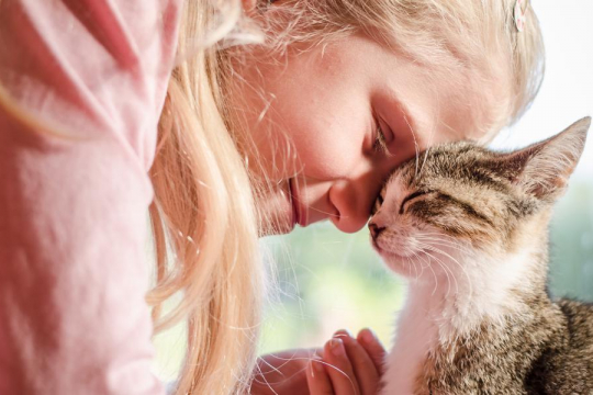 5 Ways To Build a Stronger Bond With Your Cat