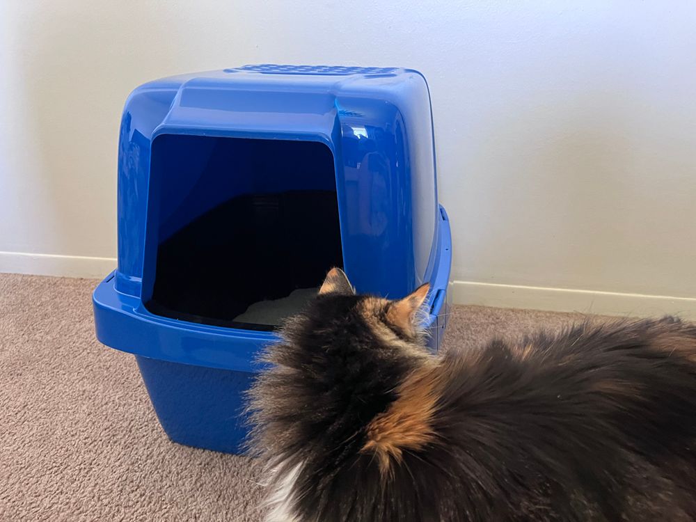 Van Ness Enclosed Sifting Litter Box