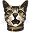 icon-cat