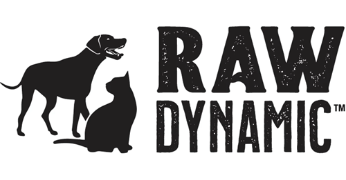Raw Dynamic logo
